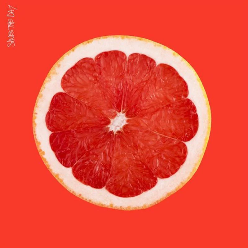 Saves The Day - Saves The Day [LP]