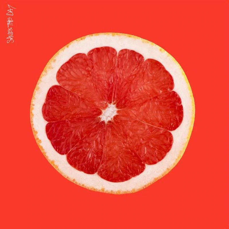 Saves The Day - Saves The Day [LP] - Image 3
